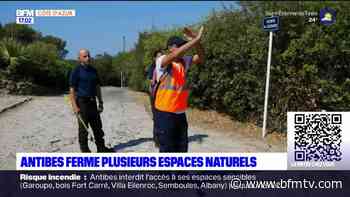 Antibes: fermeture de plusieurs espaces naturels en raison d'un risque d'incendie élevé - BFMTV