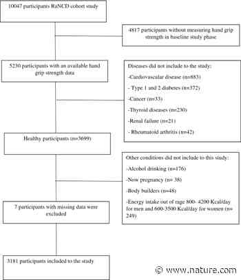 Mediterranean-DASH Intervention for Neurodegenerative Delay (MIND) diet in relation to age-associated poor muscle strength; a cross-sectional study from the Kurdish cohort study | Scientific Reports - Nature.com