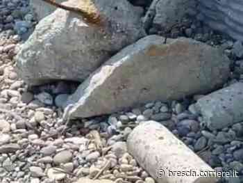 Desenzano, dal Garda ritirato riemergono resti del lungolago - Corriere della Sera