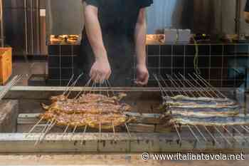Ancora divieto di pesca per l’anguilla del Garda: è giallo diossina - Italia a Tavola