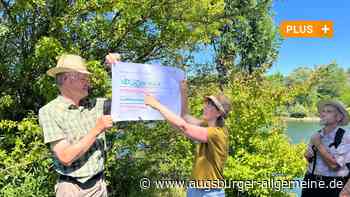 Aichach-Friedberg: "Licca liber" befreit den Lech ? in einem 130 Meter breiten Flussbett | Friedberger Allgemeine - Augsburger Allgemeine