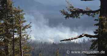 Waldbrandgefahr sehr hoch in Memmingen und Günzburg - IMSÜDEN