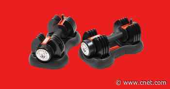 Save $70 on These Signature Fitness 5-in-1 Adjustable Dumbbells at Walmart     - CNET