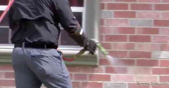 Expert explains summer uptick of fleas, ticks