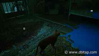 How to Solve the Atomic Battery/Neco Factory Puzzle in Stray - DBLTAP