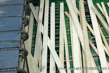 Let’s make a deal with Canada on softwood, U.S. senators urge Biden administration