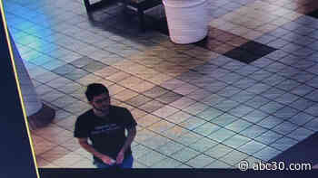 Visalia Police turns to public to help identify jewelry store thief