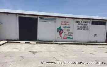 Tianguis ganadero quiebra por falta de uso - El Sol de Cuernavaca