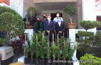 Para mejorar jardineras públicas, sembrarán plantas de ornato en Cuernavaca - Quadratín Morelos - Quadratín Morelos