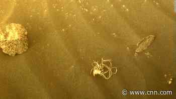 Mysterious bundle of string on Mars' surface found by Perseverance rover