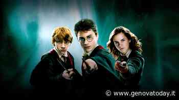 Rapallo come Hogwarts, arriva la magia di Harry Potter - GenovaToday