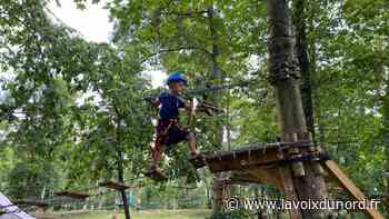 Arras : l'accrobranche Cit'Loisirs a bien fait son nid dans le bois de la citadelle - La Voix du Nord