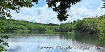 Nach Rettung aus Badeteich im Kreis Hildesheim: Identität des Mannes ist geklärt - www.hildesheimer-allgemeine.de
