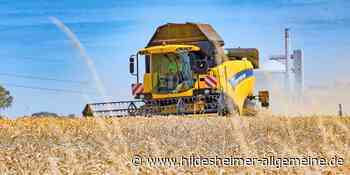 Weizenernte im Kreis Hildesheim besser als erwartet – das fordern Bauern mit Blick auf die Weltlage - www.hildesheimer-allgemeine.de