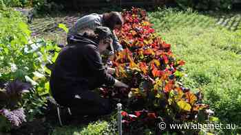 This growing trend to beat cost of living increases lets people get their hands dirty while reducing stress