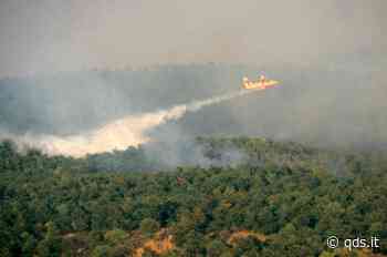 Vasto incendio tra Enna e Piazza Armerina - Quotidiano di Sicilia
