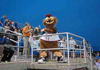 Wild Things remain focused on winning as they host Frontier League All-Star Game with large contingent - Pittsburgh Post-Gazette