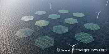 'Solar's next frontier' | RWE backs North Sea floating PV pilot as step to link with offshore wind | Recharge - Recharge