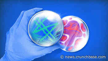 Psychedelics Provide New Frontier For Venture Funding, But Nuances Prevail - Crunchbase News