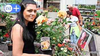 3. Kleine Gartenschau Oschatz – die 20 besten Bilder - Leipziger Volkszeitung