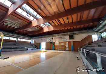 Pnrr: a Carpi finanziata ristrutturazione palestra Meucci - Emilia Romagna - Agenzia ANSA
