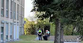 Man (47) overleeft val uit raam van derde verdieping niet - Het Laatste Nieuws