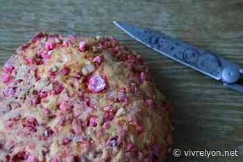 Bientôt un compétition mondiale de la praline à Lyon - VIVRE LYON