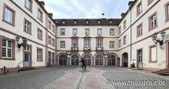 Verwaltung: Im Dauerkrisenmodus - Kommentar - DIE RHEINPFALZ - Rheinpfalz.de