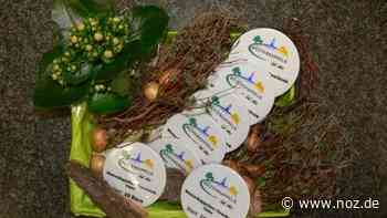 Kritik aus der Politik: Geburtstag oder Hochzeitstag: Westerkappelner Verwaltung will an Geschenken sparen - NOZ