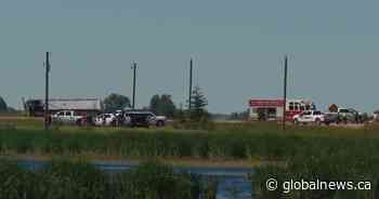 RCMP investigate fatal collision near Camrose - Global News