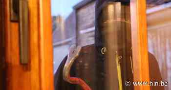 Inbrekers slaan op drie verschillende plaatsen toe | Diest | hln.be - Het Laatste Nieuws