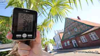 Viele hitzebedingte Notrufe: Temperaturen bis 40 Grad: Kreis Pinneberg erlebt heißesten Tag seit Jahren - shz.de