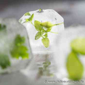 Der Geschmacks-Kick für schnödes Wasser - radioeuskirchen.de