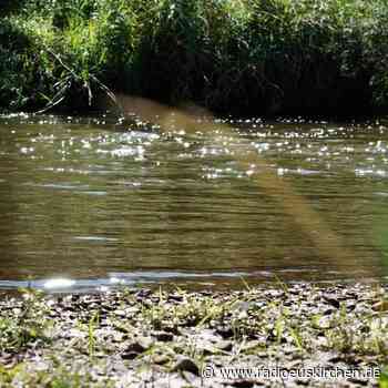 Fische in der Ahr haben sich von der Flutkatastrophe erholt - radioeuskirchen.de
