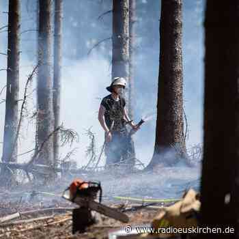 Mehrere Waldbrände im Kreis Euskirchen - radioeuskirchen.de