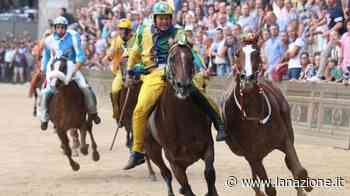 Torna il Palio, è come un'altra Liberazione. Siena esulta e riabbraccia la sua Storia - LA NAZIONE