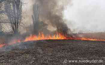 Konstanz: Kein Regen in Sicht, die Temperaturen steigen, die Waldbrandgefahr auch. Was nun zu beachten ist - SÜDKURIER Online