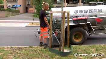 Leuven geeft alle bomen en planten extra water tijdens hitte - ROB-tv