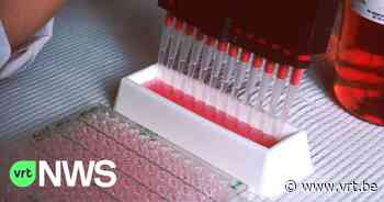 Onderzoek van onder meer VIB-KU Leuven leidt tot nieuw middel dat groei stopt van agressieve hersenkanker bij kinderen - VRT NWS