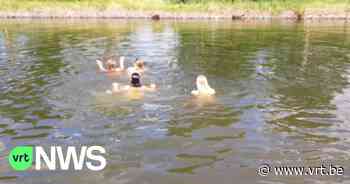 Gedeputeerde wil dat veilig zwemmen in kanaal Leuven-Dijle binnenkort kan: "Steeds meer nood aan zwemwater" - VRT NWS