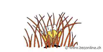 Max Küng schaut TV-Werbung – Digital gesteuert vom Ökosystem: Der neueste Audi ist ein Träumli - Basler Zeitung