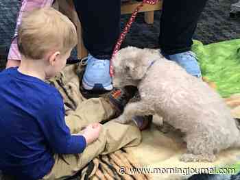 Amherst Public Library welcomes canine companions for reading - The Morning Journal