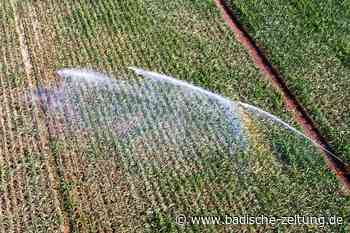 Giftige Stoffe im Grundwasser bei Lahr, aber das Landratsamt gibt Entwarnung - Lahr - Badische Zeitung