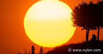 What Does Your Sun Sign Mean In Astrology? - NYLON