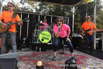 Greater Victoria band checkers Willows stage with timeless hits July 21 - Saanich News