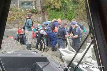 Kayakers pull unresponsive man from Sidney waters before responders revive him - Saanich News
