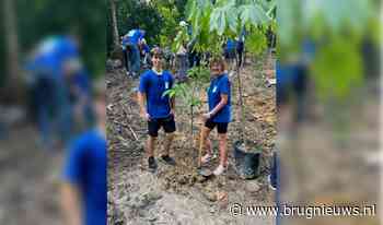 Kamper ambassadeur: Een boom opzetten - Al het nieuws uit Kampen, IJsselmuiden eo - Weekblad De Brug