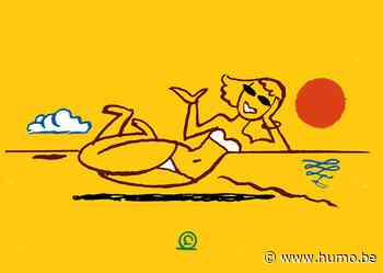 Vooral in grote steden is de hitte ondragelijk: 'Onder een goeie boom kan het 15 graden minder warm zijn' - Humo The Wild Site