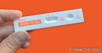 Get Your 8 Free COVID-19 Test Kits From COVIDTests.gov in Just 2 Minutes     - CNET