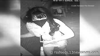 Hampton Fire investigators looking for help in identifying suspect in house fire